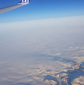 Meet your Posher, Bernadette